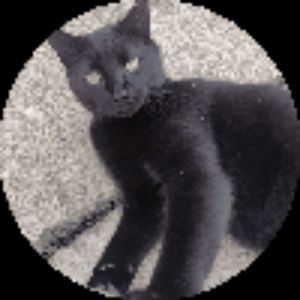 Meet your Posher, Emely